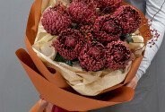 Bouquet of chrysanthemums Bigoudi "Burgundy Cloud" — photo 3