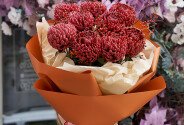 Bouquet of chrysanthemums Bigoudi "Burgundy Cloud" — photo 4