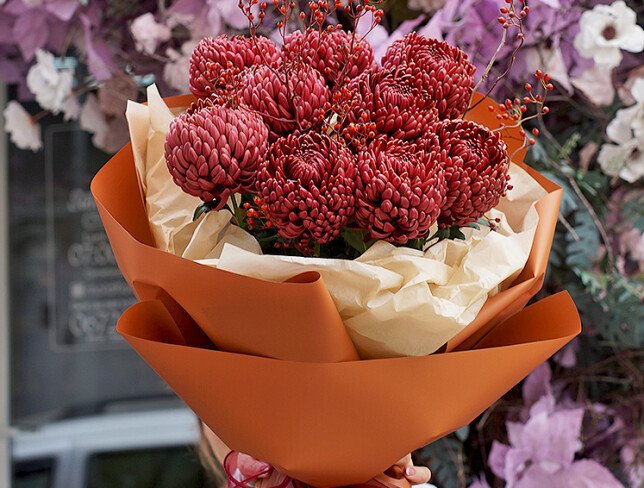 Bouquet of chrysanthemums Bigoudi "Burgundy Cloud" — photo 4
