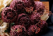 Bouquet of chrysanthemums Bigoudi "Burgundy Cloud" — photo 5
