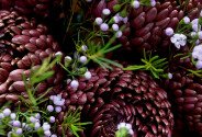 Buchet din 5 crizanteme sferice maro si waxflower — foto 4