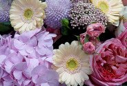 Buchet cu hortensie roz, trandafiri roz de tip bujor si gerbere — foto 2