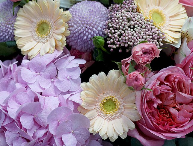 Buchet cu hortensie roz, trandafiri roz de tip bujor si gerbere foto