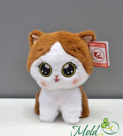 Pisica Molly h=24 cm foto 394x433