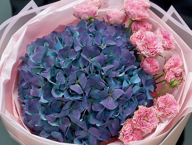 Buchet cu hortensie bicolor si trandafiri roz foto