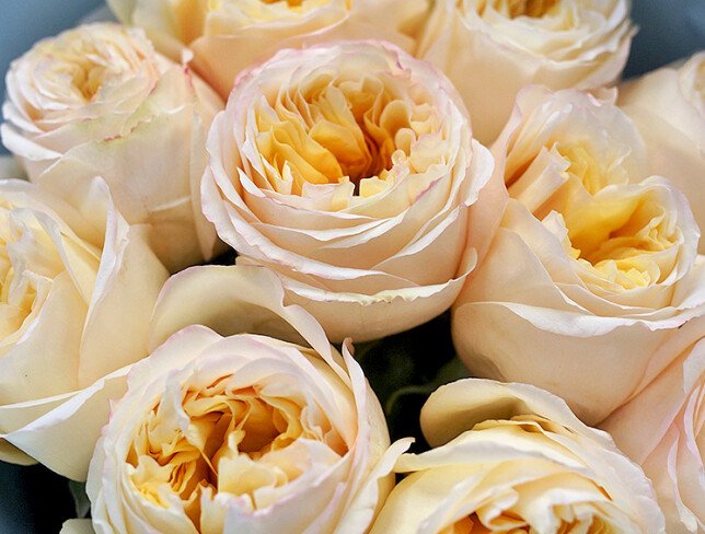 Bouquet of 11 peony-shaped roses “Cream Expression” — photo 4