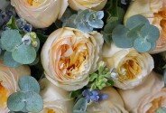 Buchet din 9 trandafiri crem de tip bujor si oxypetalum — foto 5