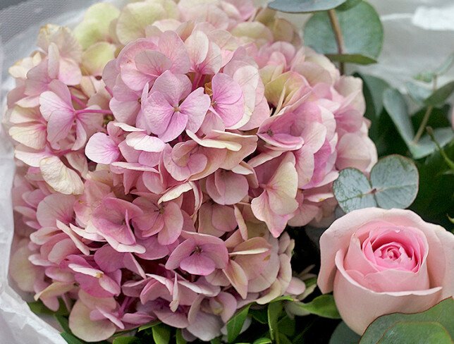Buchet cu hortensie si trandafiri roz-pal foto