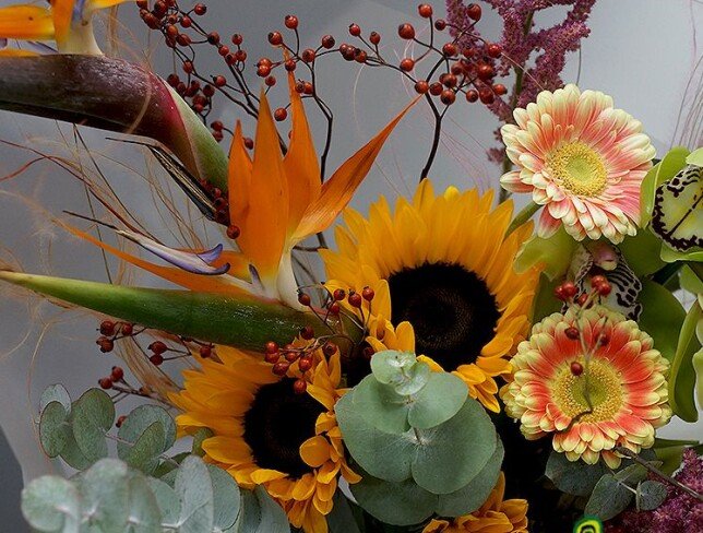 Buchet din strelitzia, orhidee verde, floarea-soarelui si gerbere — foto 3