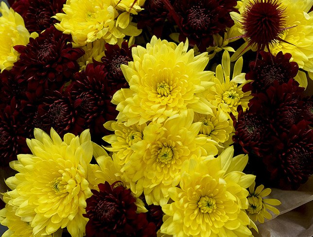 “Bright Chrysanthemums Bouquet” photo