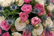 Bouquet of pink and cream spray roses "Tenderness and Elegance" — photo 3