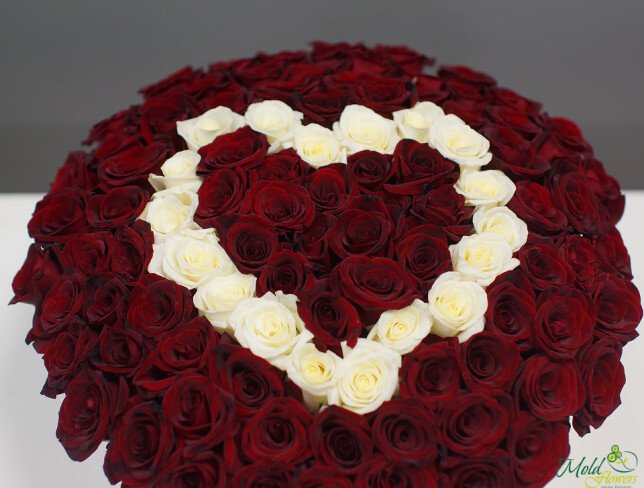 Composition of 101 white and red roses arranged in a heart shape in a box from moldflowers.md