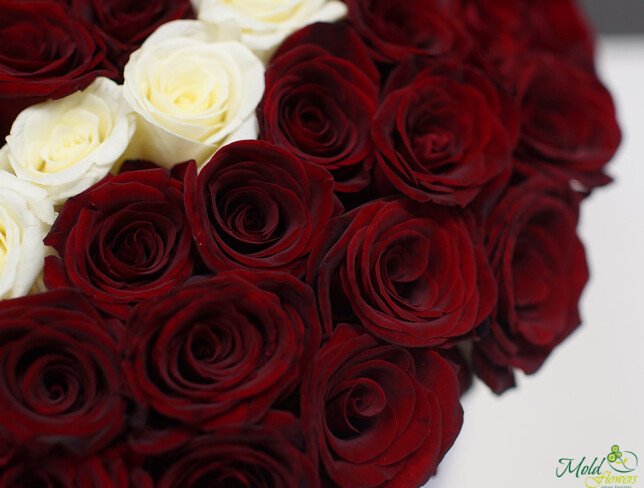 Composition of 101 white and red roses arranged in a heart shape in a box from moldflowers.md