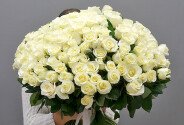 Buchet din 131 trandafiri albi  60 cm (la comanda, 5 zile) — foto 1