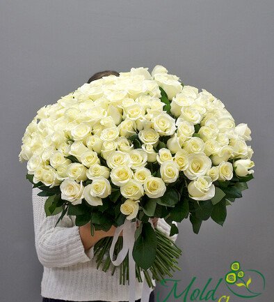 Buchet din 131 trandafiri albi  60 cm (la comanda, 5 zile) foto 394x433