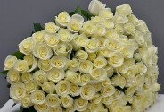 Buchet din 131 trandafiri albi  60 cm (la comanda, 5 zile) — foto 5