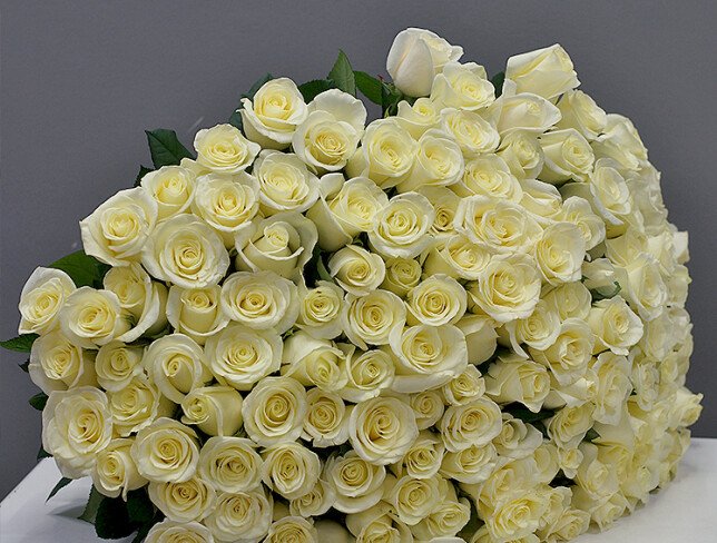 Buchet din 131 trandafiri albi  60 cm (la comanda, 5 zile) foto