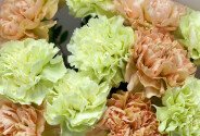 Bouquet “Pastel Glow” — photo 2