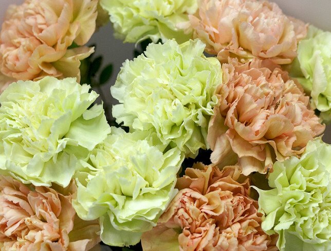 Bouquet “Pastel Glow” photo