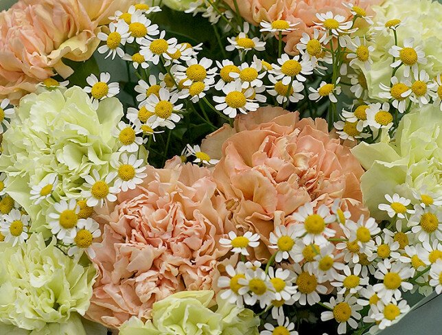 Bouquet of multicolored dianthus and daisies photo