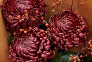 Букет из 3 коричневых шаровидных хризантем — фото 3
