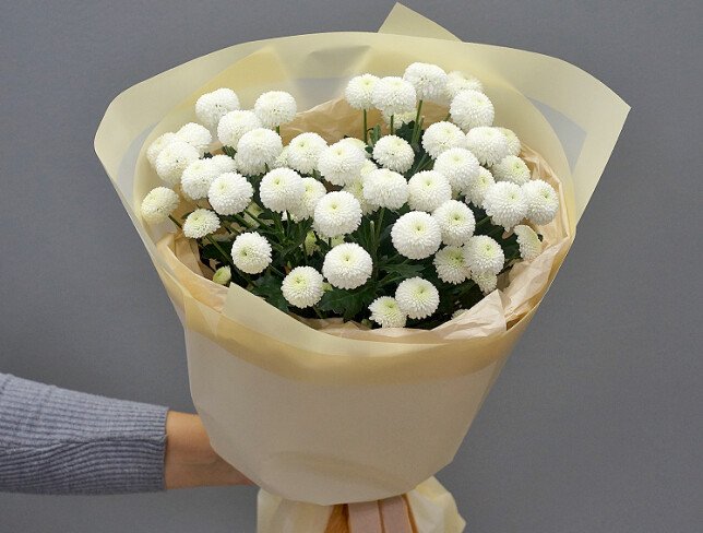 Buchet din crizanteme «Gingasie Alba» foto