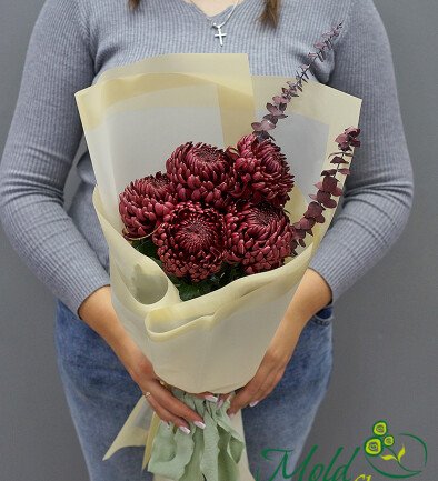 Buchet din 5 crizanteme sferice maro si eucalipt foto 394x433