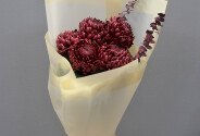 Buchet din 5 crizanteme sferice maro si eucalipt — foto 3