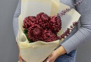 Buchet din 5 crizanteme sferice maro si eucalipt — foto 4