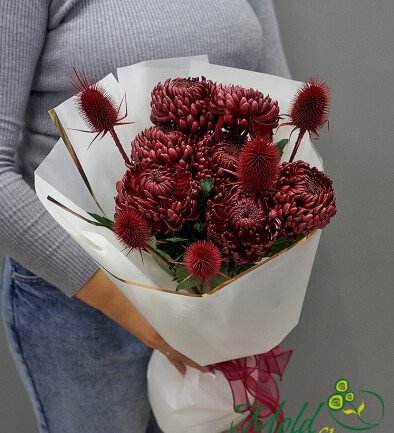 Bouquet of brown spherical chrysanthemums Bigoudi ‘Autumn Charm’