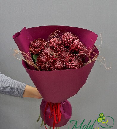 Buchet din 9 crizanteme sferice maro Bigoudi