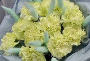Buchet din dianthus verzi «Note de Primavara» — foto 2