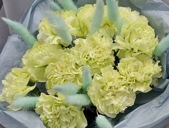 Buchet din dianthus verzi «Note de Primavara» foto