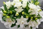 Buchet din crini albi «Coroana de Zapada» — foto 2