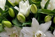 Buchet din crini albi «Coroana de Zapada» — foto 5