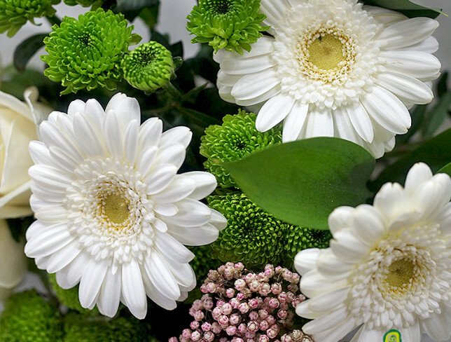 Bouquet of white gerberas, roses and chrysanthemums photo