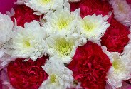 Bouquet of white chrysanthemums and fuchsia carnations — photo 3