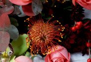 Buchet din trandafiri coral si leucospermum — foto 3