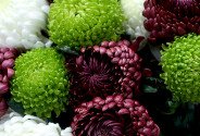 Bouquet "The Charm of Chrysanthemums Bigoudi " — photo 3