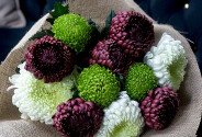 Bouquet "The Charm of Chrysanthemums Bigoudi " — photo 4
