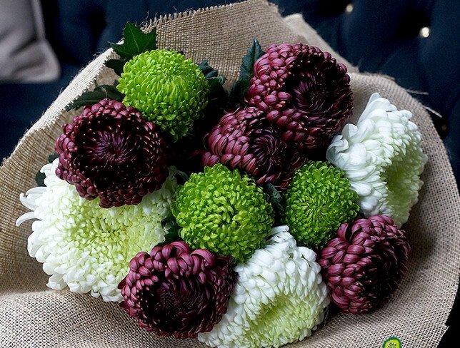 Bouquet "The Charm of Chrysanthemums Bigoudi " — photo 4