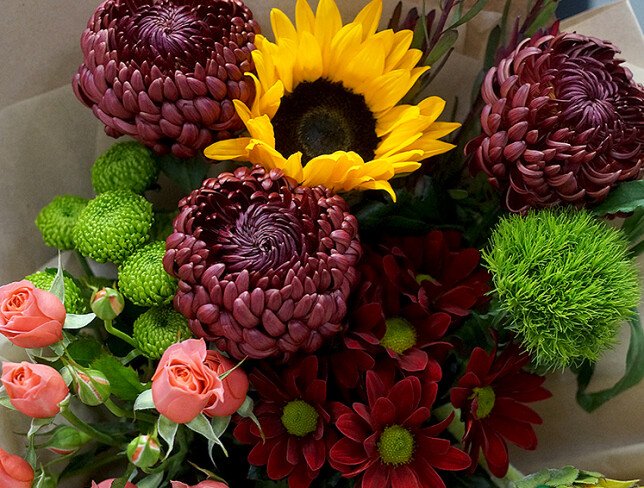 Buchet cu floarea-soarelui și crizanteme burgundy Bigoudi — foto 3