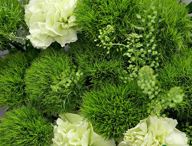 Bouquet "Green Symphony" photo