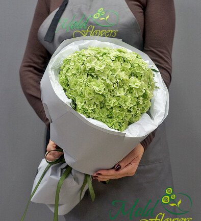 Buchet cu hortensie verde „Prospețime de smarald” foto 394x433