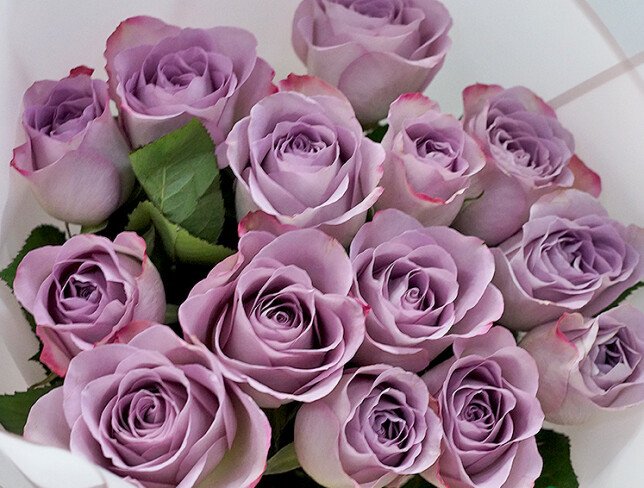 Bouquet of 15 purple roses "Memory Lane" photo