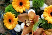 Buchet „Scântei de chihlimbar” — foto 4
