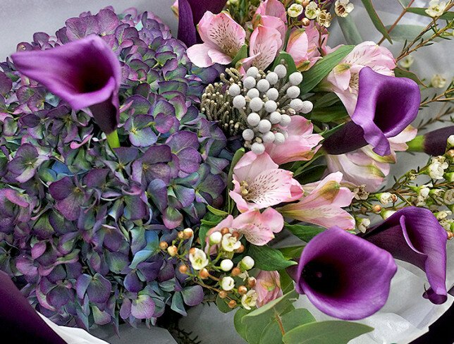 Buchet din cale mov, hortensie bicoloră și alstroemeria foto