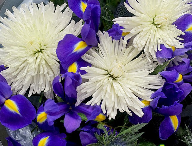 Bouquet of white chrysanthemums and irises photo