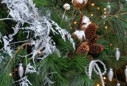 New Year arrangement with Dutch pine "Silver Winter" — photo 2