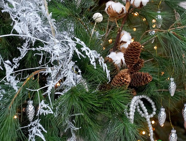 New Year arrangement with Dutch pine "Silver Winter" photo